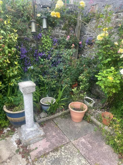 Ivybridge Cottage Екстериор снимка